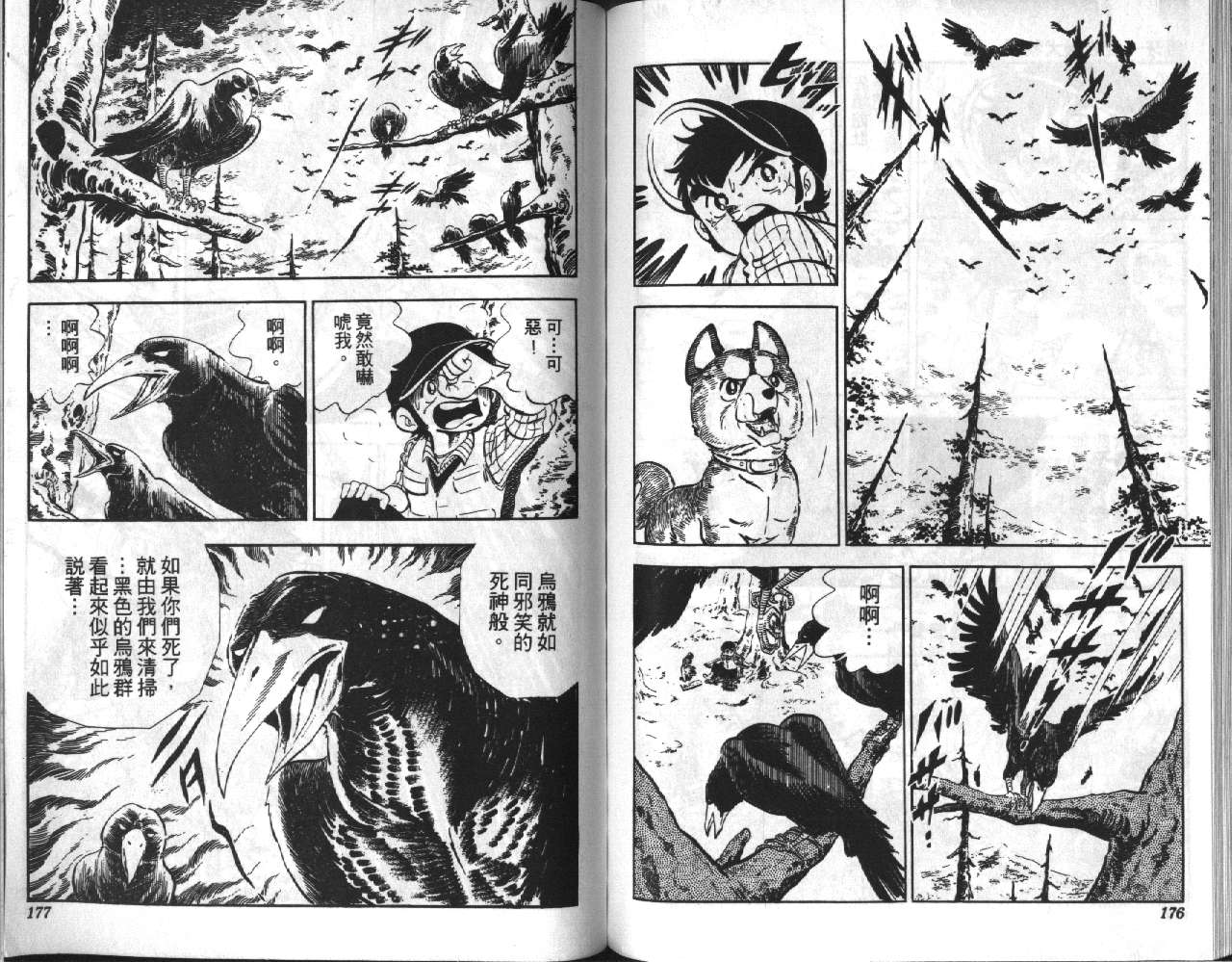 银牙虎纹猎犬物语韩漫全集-VOL02无删减无遮挡章节图片 
