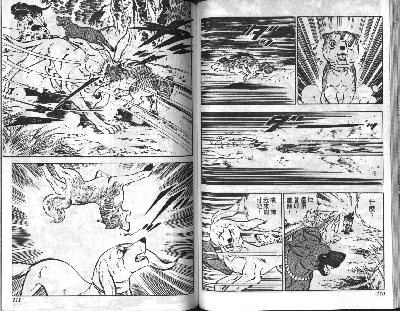 银牙虎纹猎犬物语韩漫全集-VOL03无删减无遮挡章节图片 