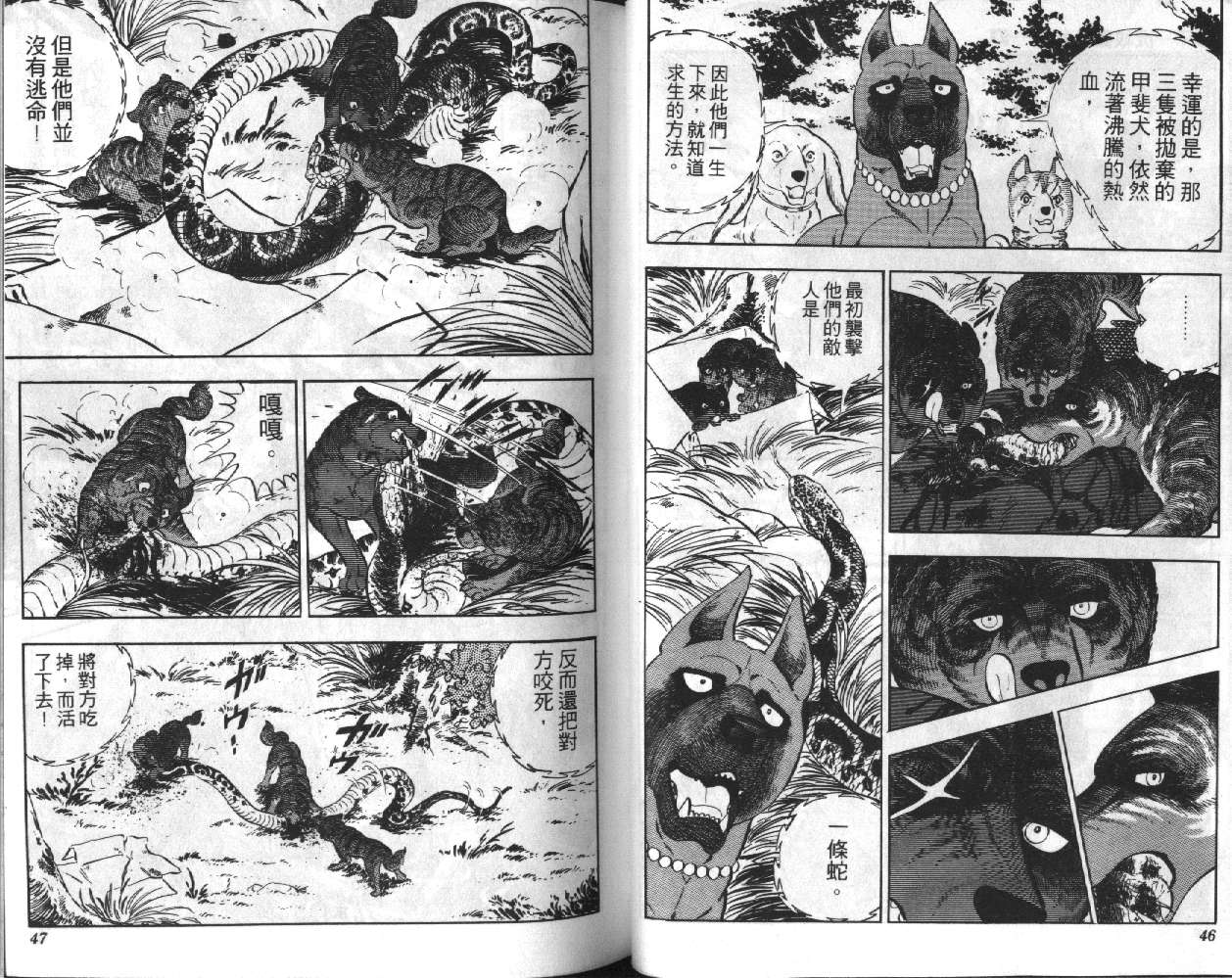 银牙虎纹猎犬物语韩漫全集-VOL04无删减无遮挡章节图片 