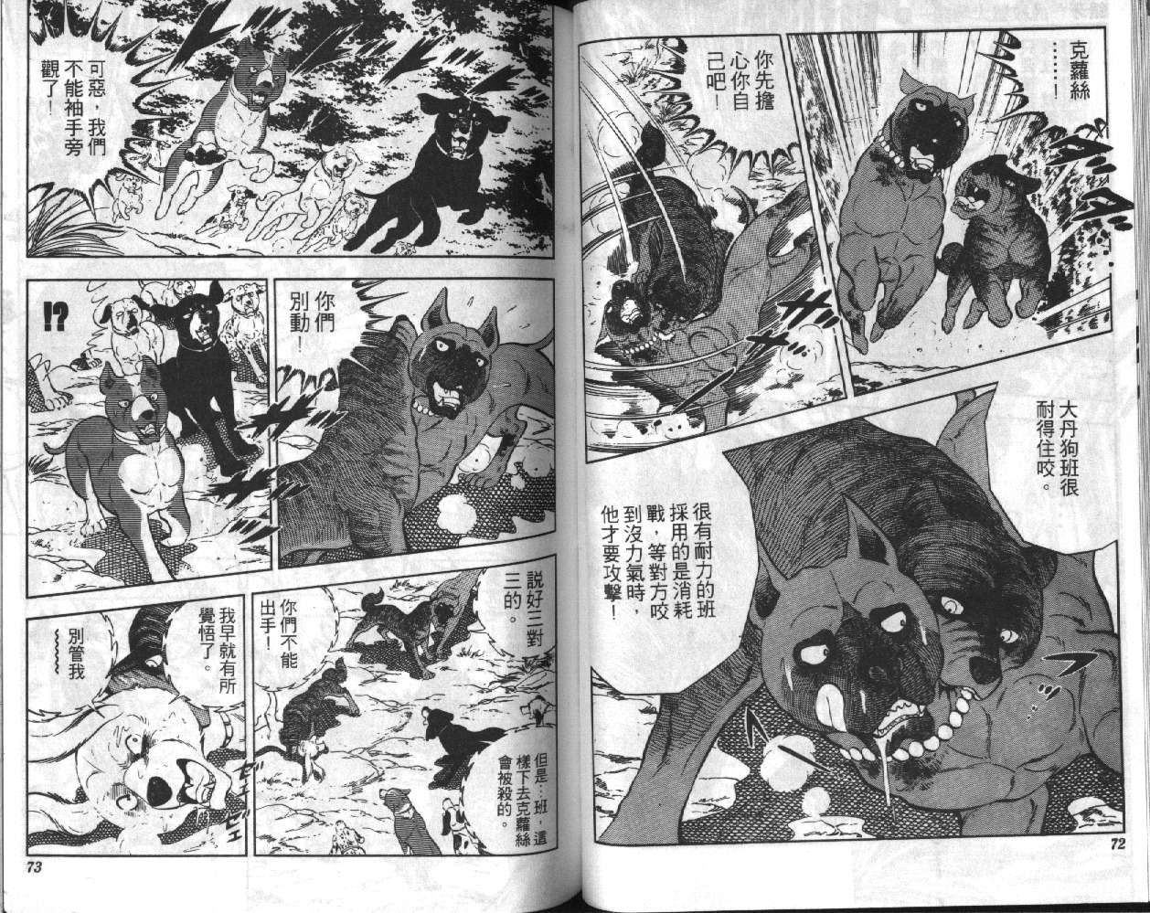 银牙虎纹猎犬物语韩漫全集-VOL04无删减无遮挡章节图片 