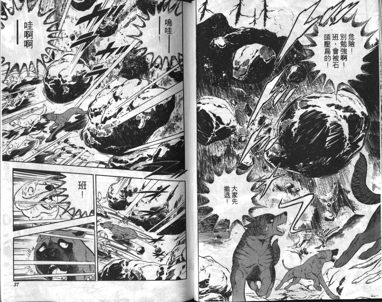 银牙虎纹猎犬物语韩漫全集-VOL05无删减无遮挡章节图片 