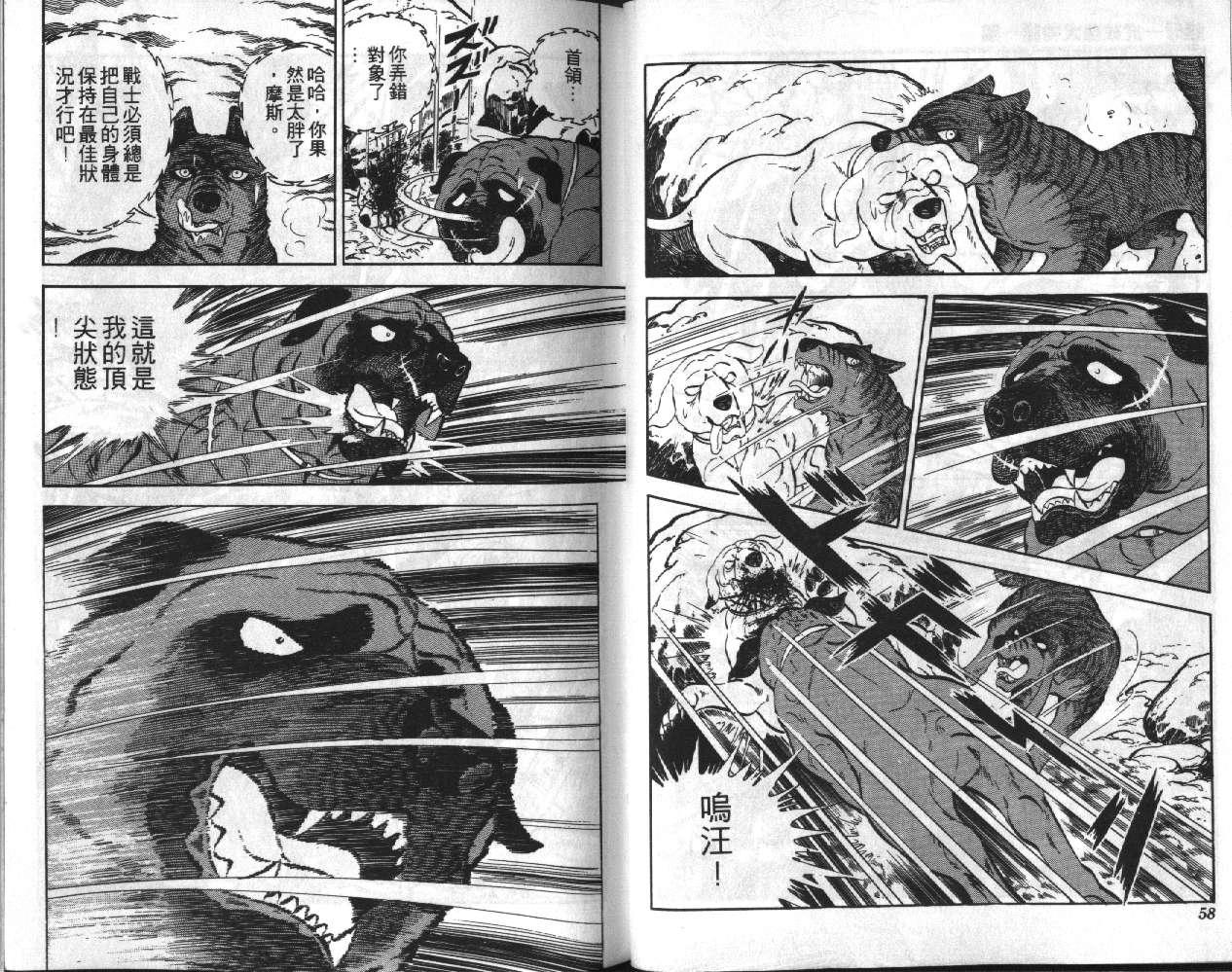 银牙虎纹猎犬物语韩漫全集-VOL05无删减无遮挡章节图片 