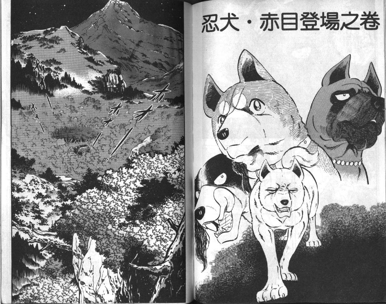 银牙虎纹猎犬物语韩漫全集-VOL05无删减无遮挡章节图片 