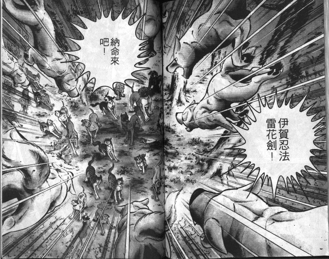 银牙虎纹猎犬物语韩漫全集-VOL05无删减无遮挡章节图片 