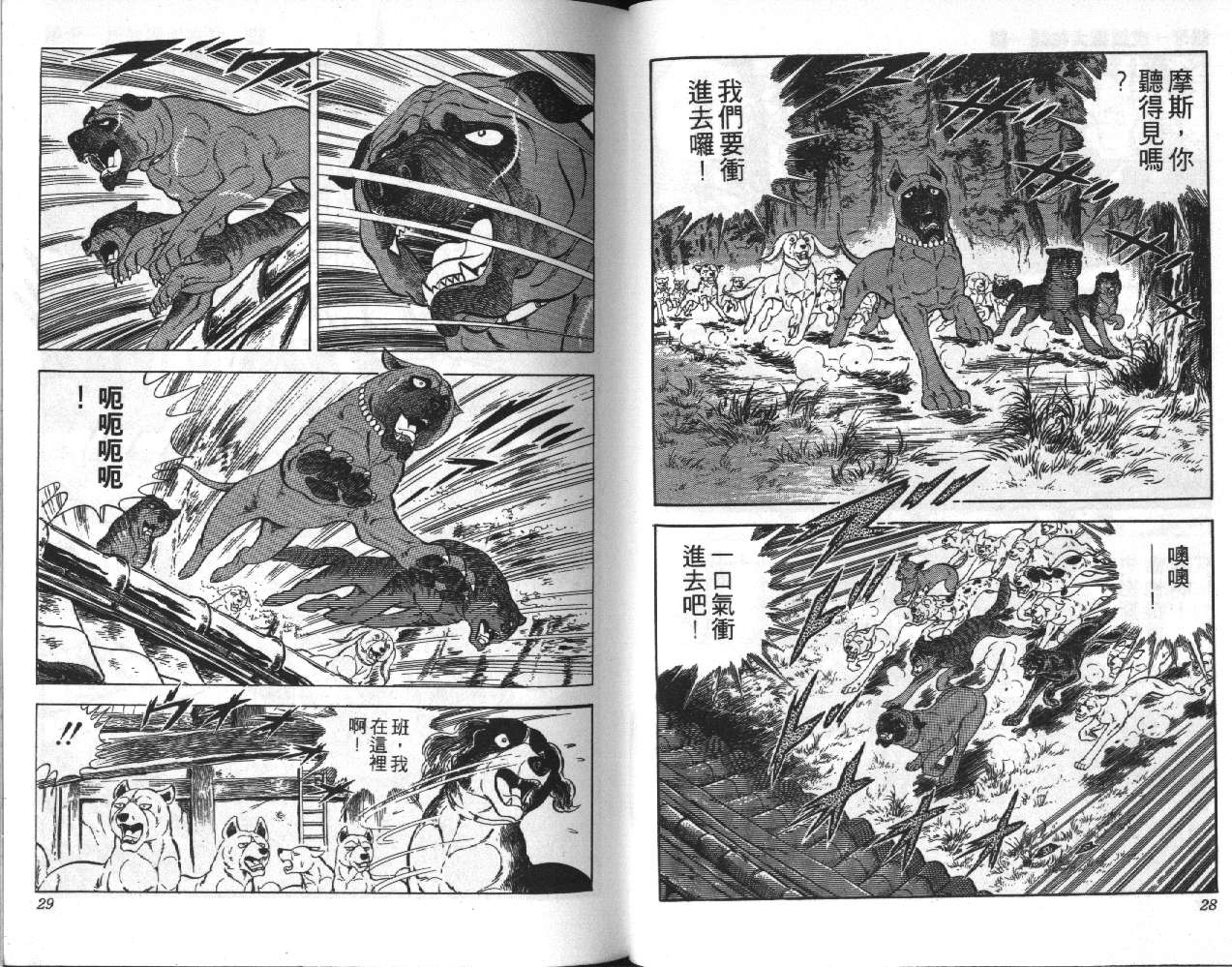 银牙虎纹猎犬物语韩漫全集-VOL06无删减无遮挡章节图片 