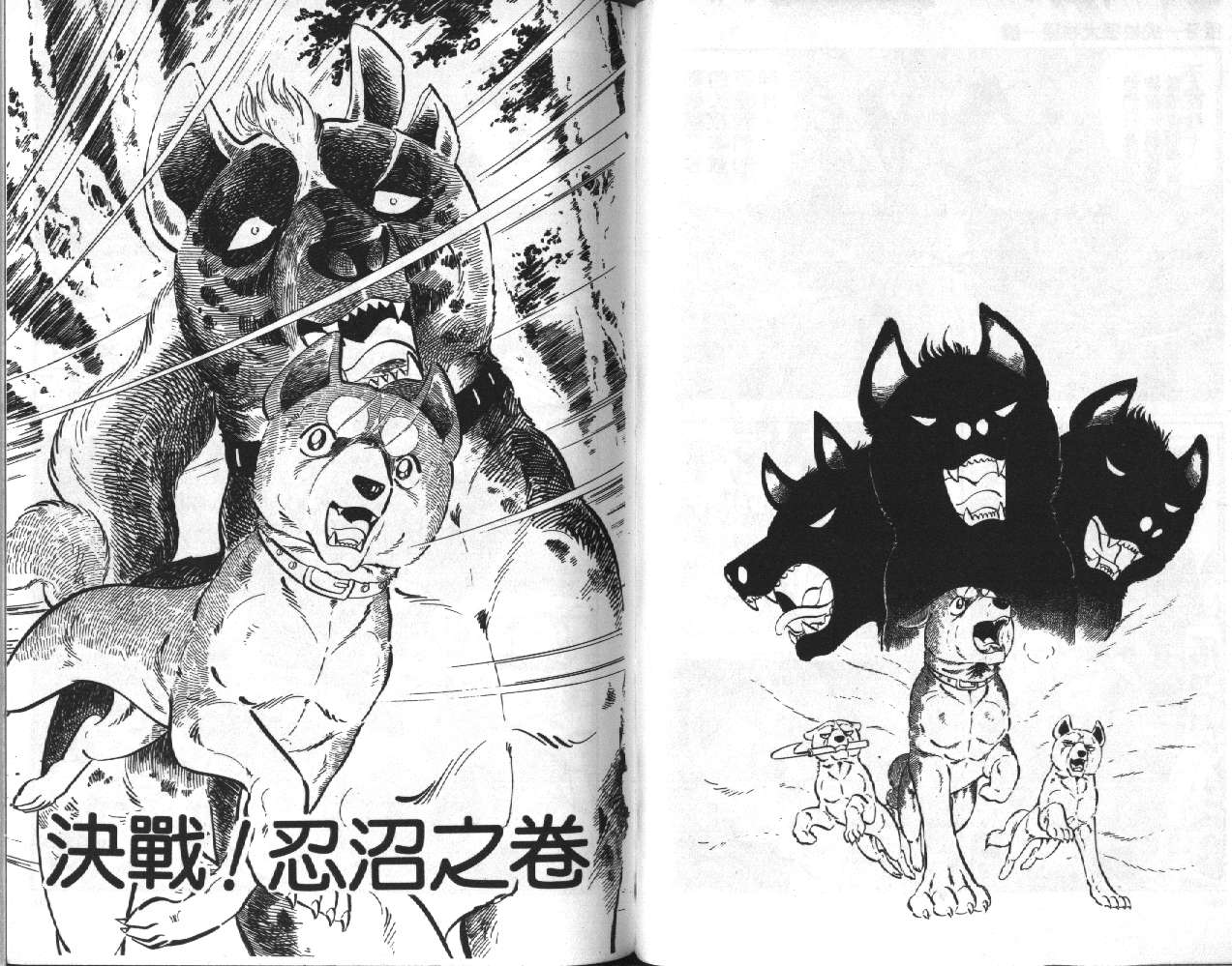 银牙虎纹猎犬物语韩漫全集-VOL06无删减无遮挡章节图片 