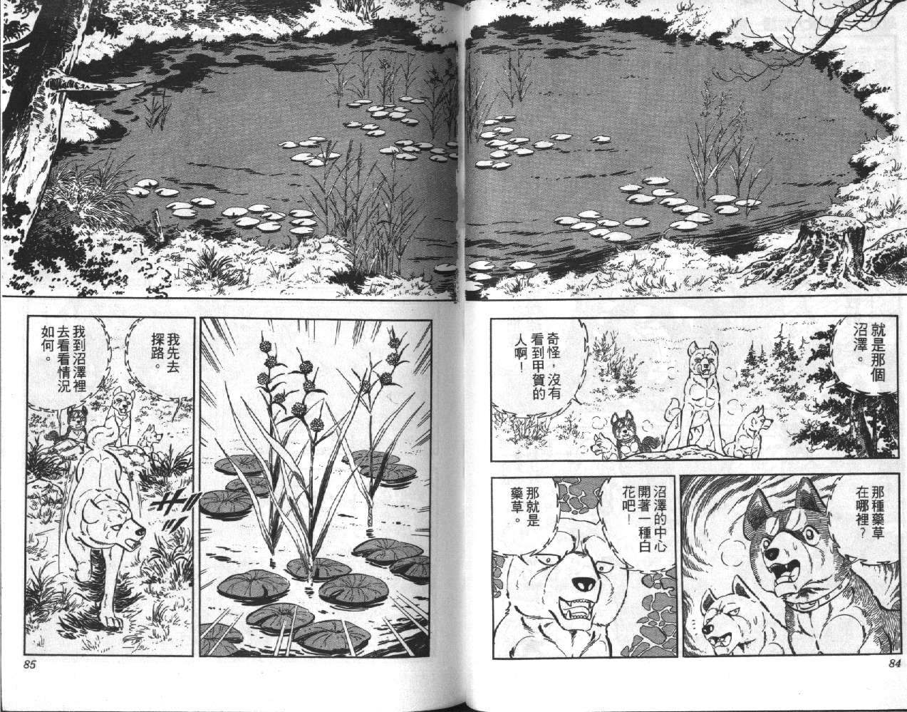 银牙虎纹猎犬物语韩漫全集-VOL06无删减无遮挡章节图片 