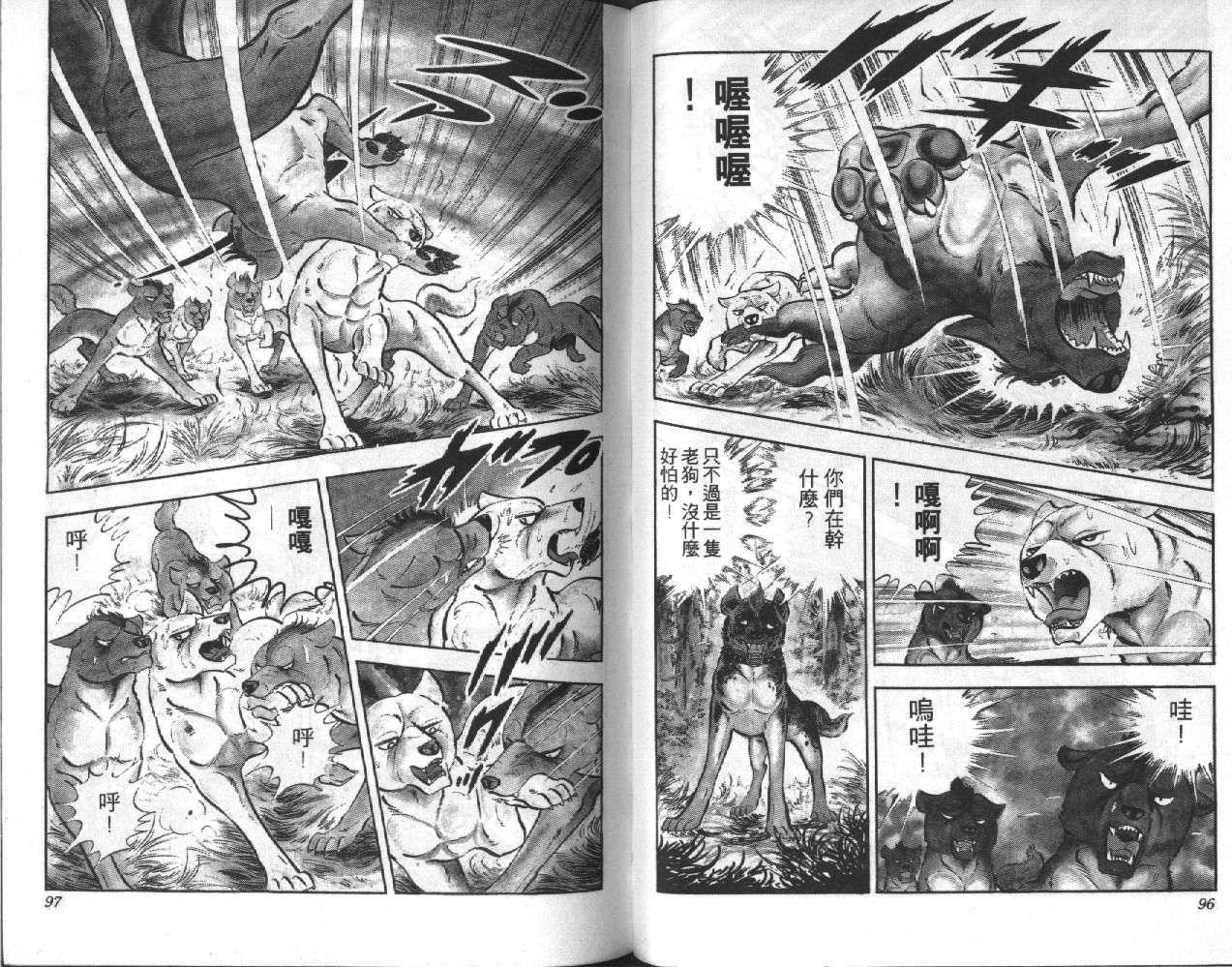 银牙虎纹猎犬物语韩漫全集-VOL06无删减无遮挡章节图片 