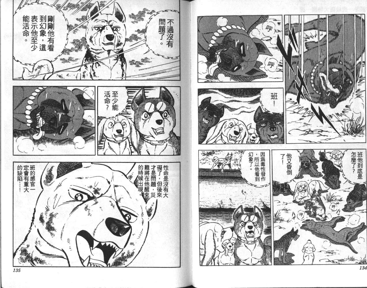 银牙虎纹猎犬物语韩漫全集-VOL06无删减无遮挡章节图片 