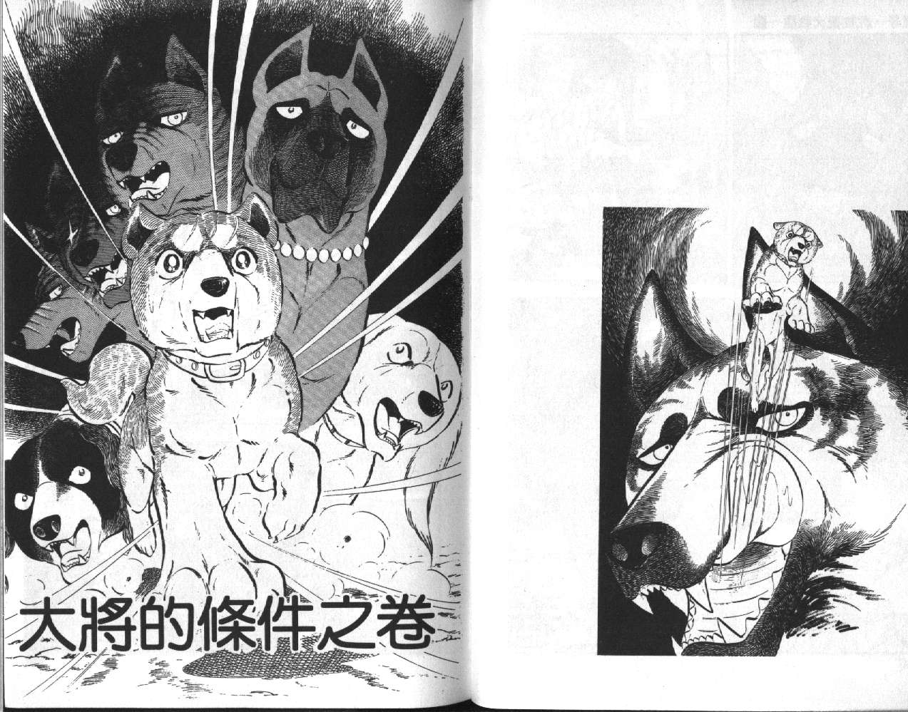 银牙虎纹猎犬物语韩漫全集-VOL06无删减无遮挡章节图片 