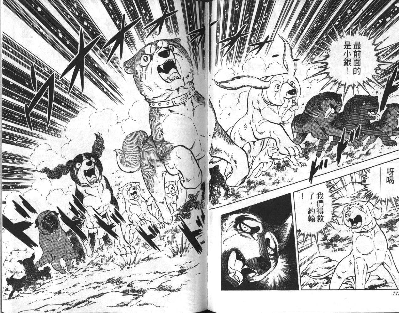 银牙虎纹猎犬物语韩漫全集-VOL06无删减无遮挡章节图片 