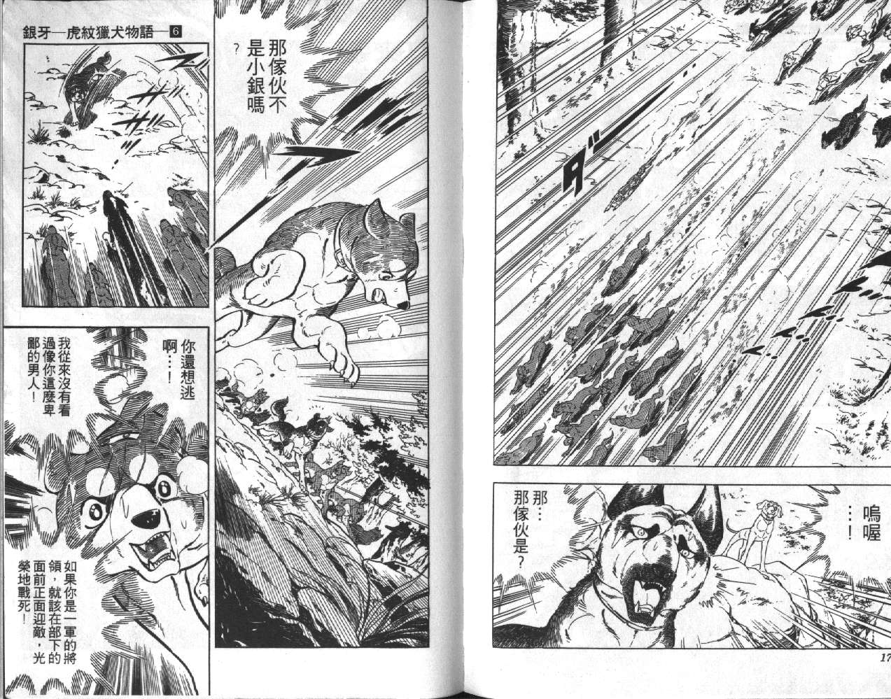 银牙虎纹猎犬物语韩漫全集-VOL06无删减无遮挡章节图片 