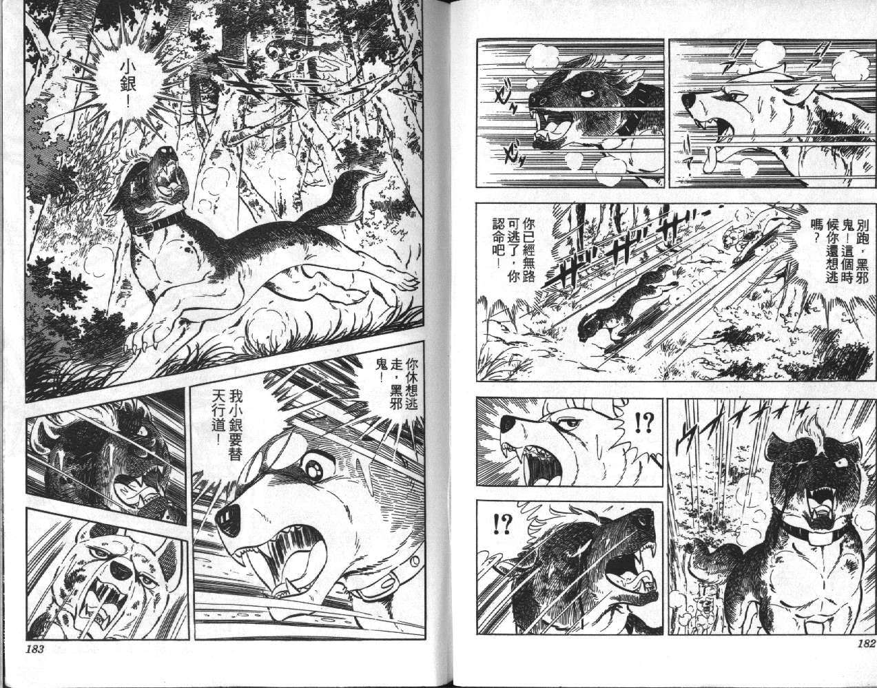 银牙虎纹猎犬物语韩漫全集-VOL06无删减无遮挡章节图片 