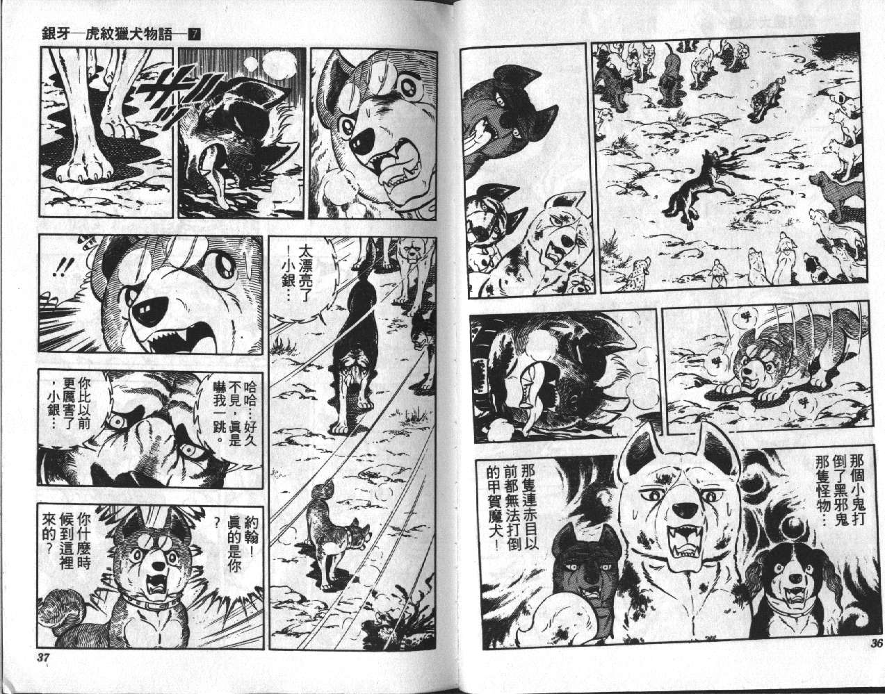 银牙虎纹猎犬物语韩漫全集-VOL07无删减无遮挡章节图片 