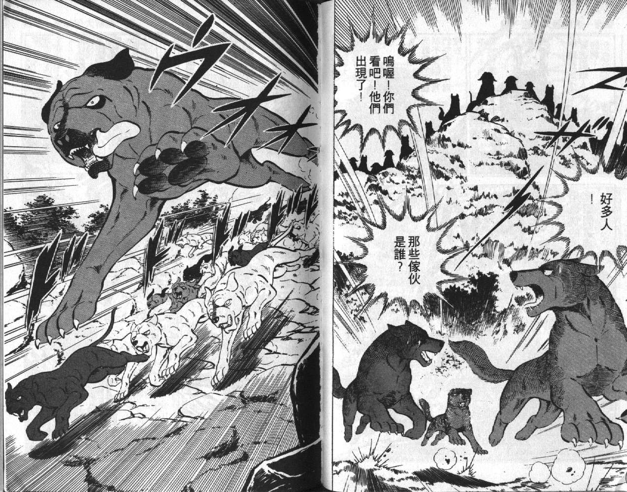 银牙虎纹猎犬物语韩漫全集-VOL07无删减无遮挡章节图片 