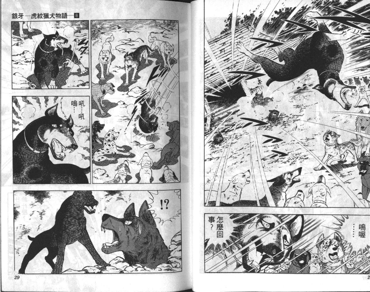 银牙虎纹猎犬物语韩漫全集-VOL08无删减无遮挡章节图片 