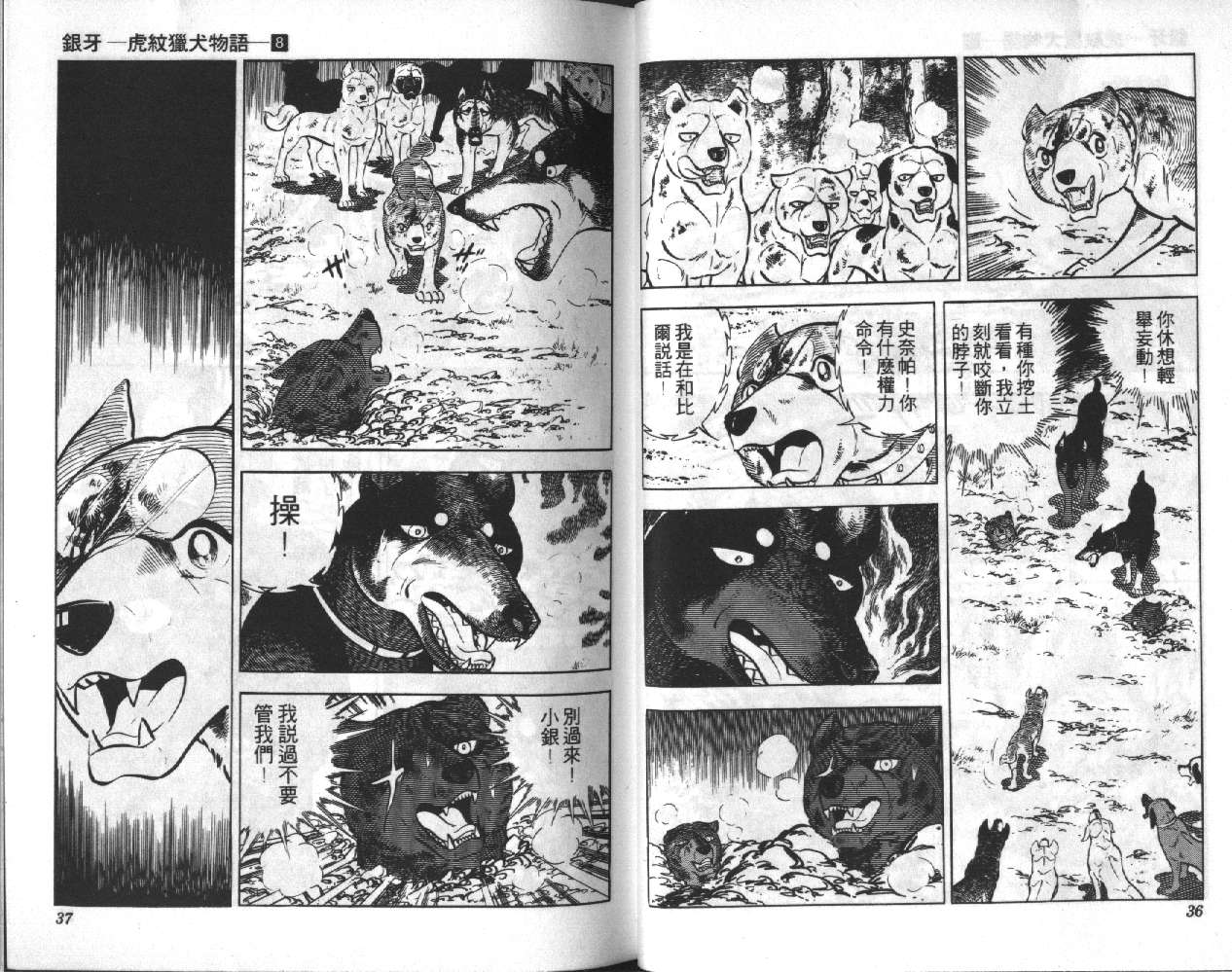 银牙虎纹猎犬物语韩漫全集-VOL08无删减无遮挡章节图片 