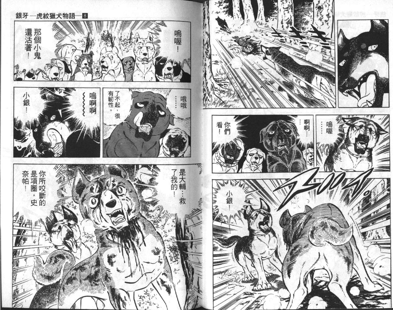 银牙虎纹猎犬物语韩漫全集-VOL08无删减无遮挡章节图片 