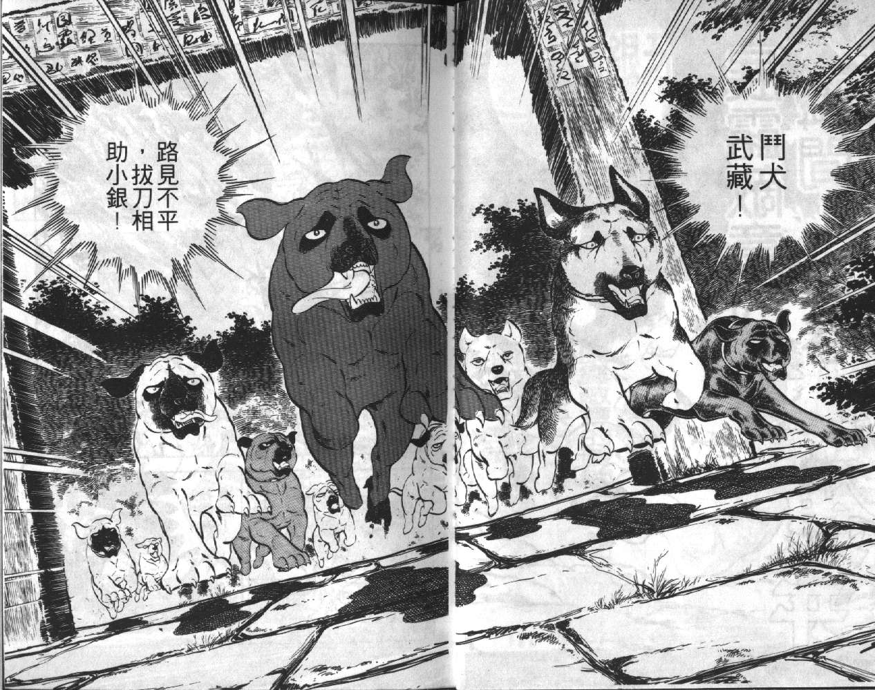 银牙虎纹猎犬物语韩漫全集-VOL08无删减无遮挡章节图片 