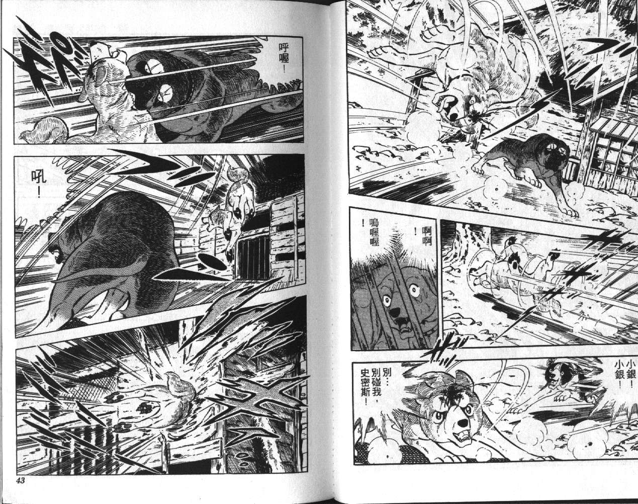 银牙虎纹猎犬物语韩漫全集-VOL09无删减无遮挡章节图片 