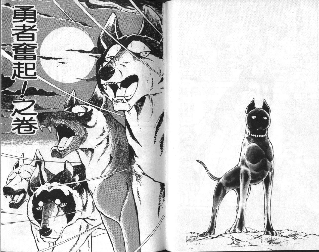 银牙虎纹猎犬物语韩漫全集-VOL09无删减无遮挡章节图片 