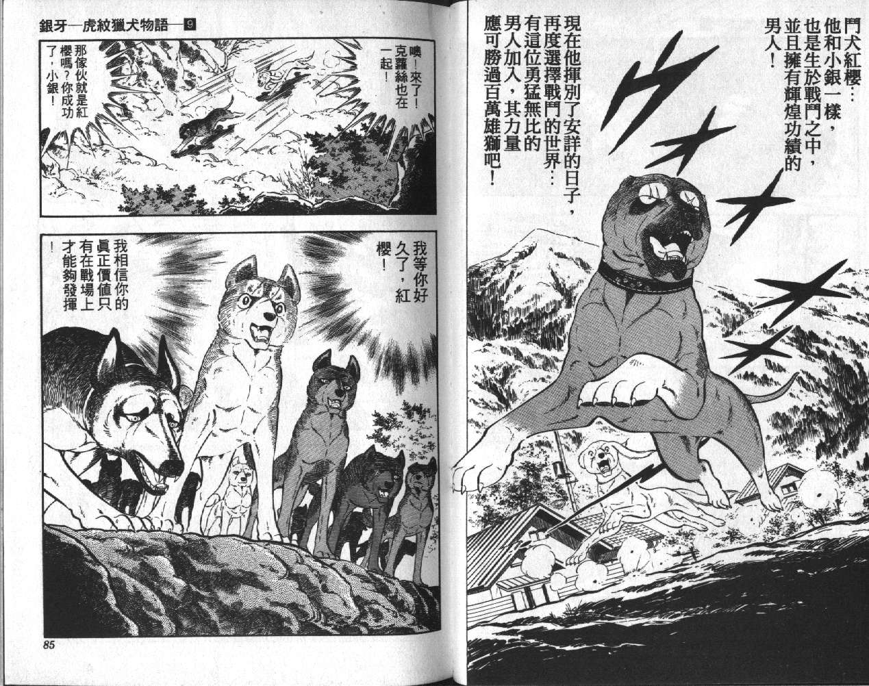 银牙虎纹猎犬物语韩漫全集-VOL09无删减无遮挡章节图片 