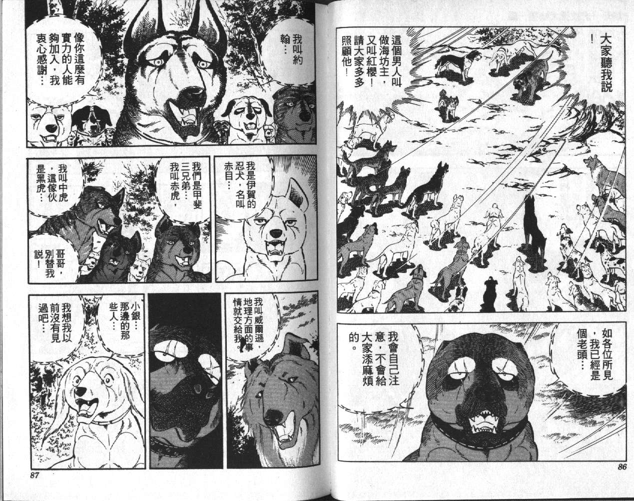 银牙虎纹猎犬物语韩漫全集-VOL09无删减无遮挡章节图片 