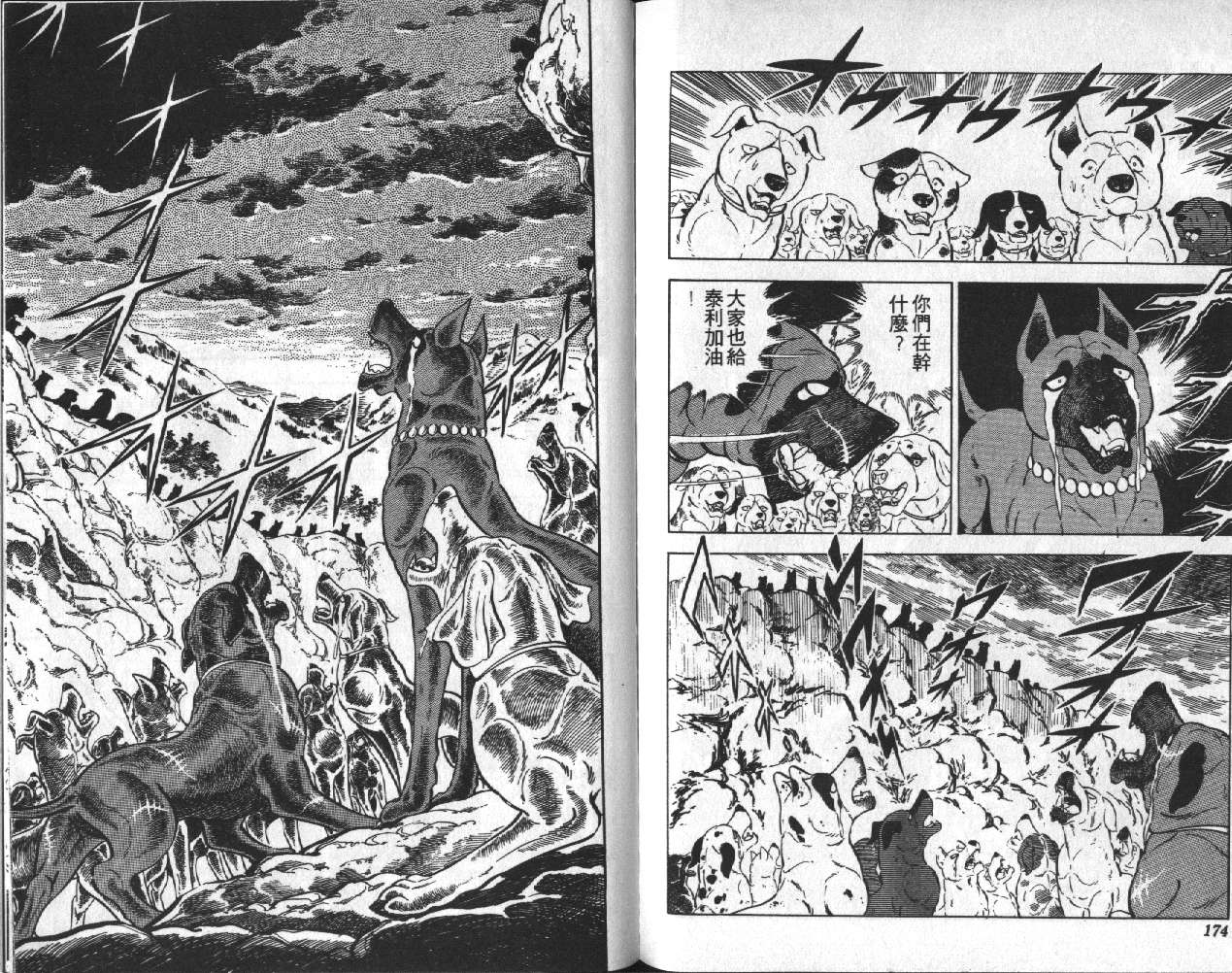 银牙虎纹猎犬物语韩漫全集-VOL09无删减无遮挡章节图片 