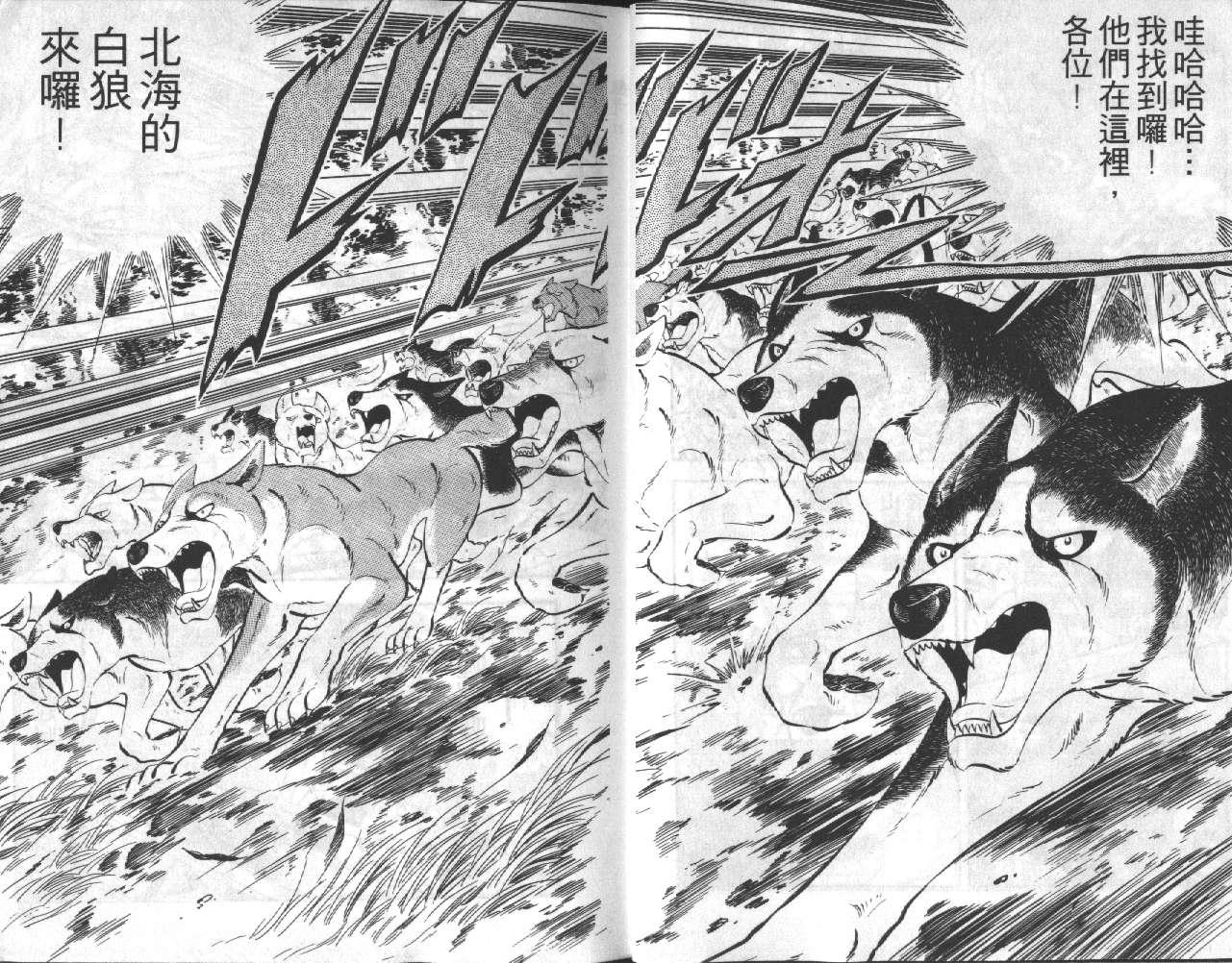 银牙虎纹猎犬物语韩漫全集-VOL11无删减无遮挡章节图片 