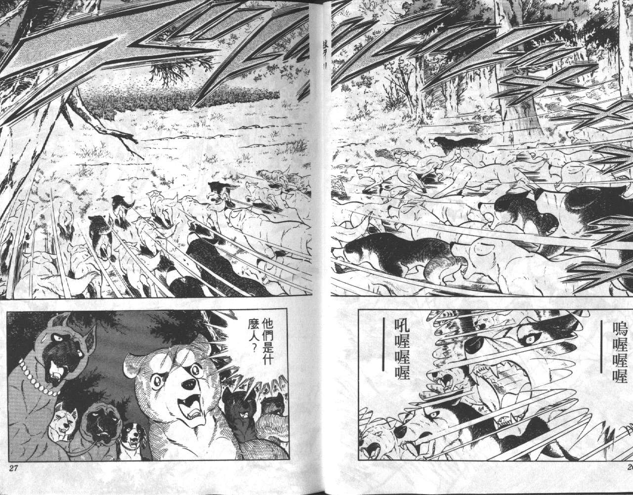 银牙虎纹猎犬物语韩漫全集-VOL11无删减无遮挡章节图片 