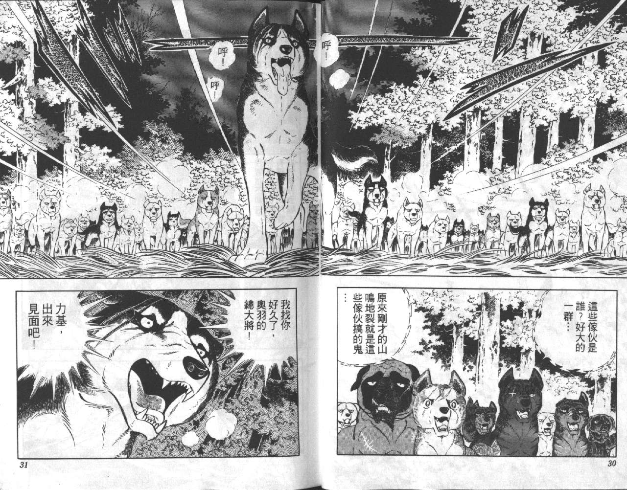 银牙虎纹猎犬物语韩漫全集-VOL11无删减无遮挡章节图片 