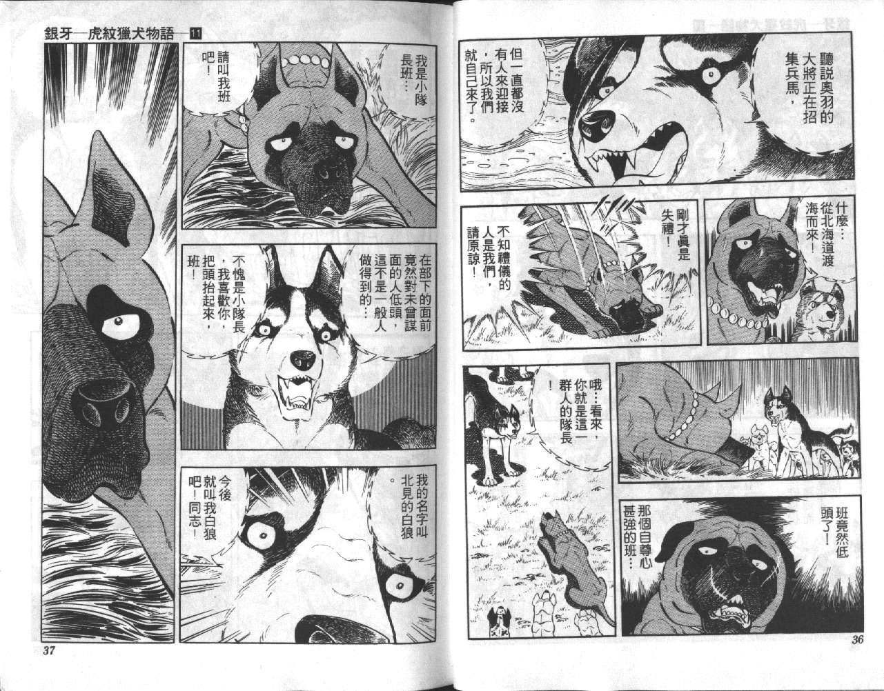 银牙虎纹猎犬物语韩漫全集-VOL11无删减无遮挡章节图片 