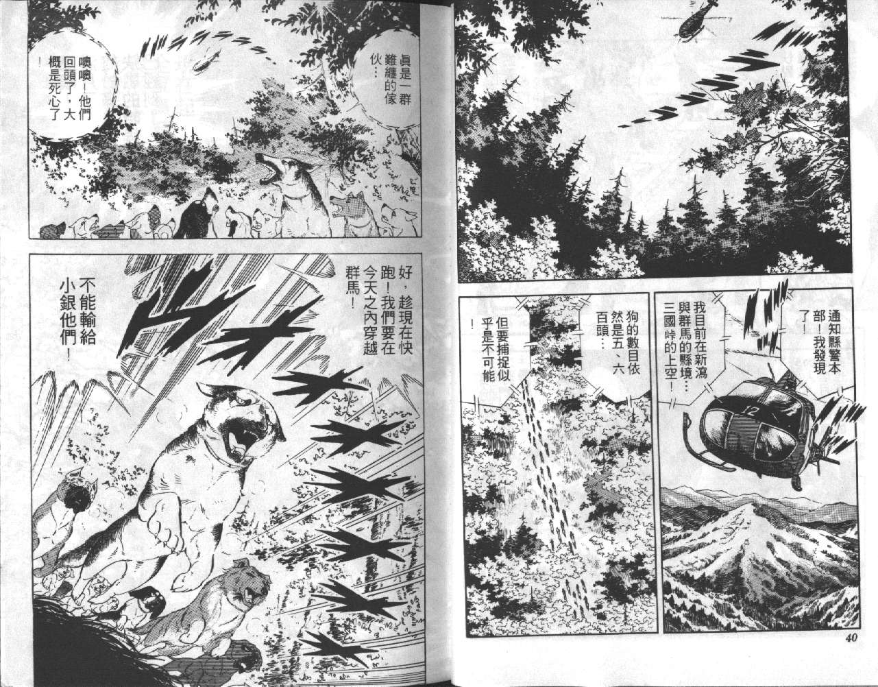 银牙虎纹猎犬物语韩漫全集-VOL11无删减无遮挡章节图片 