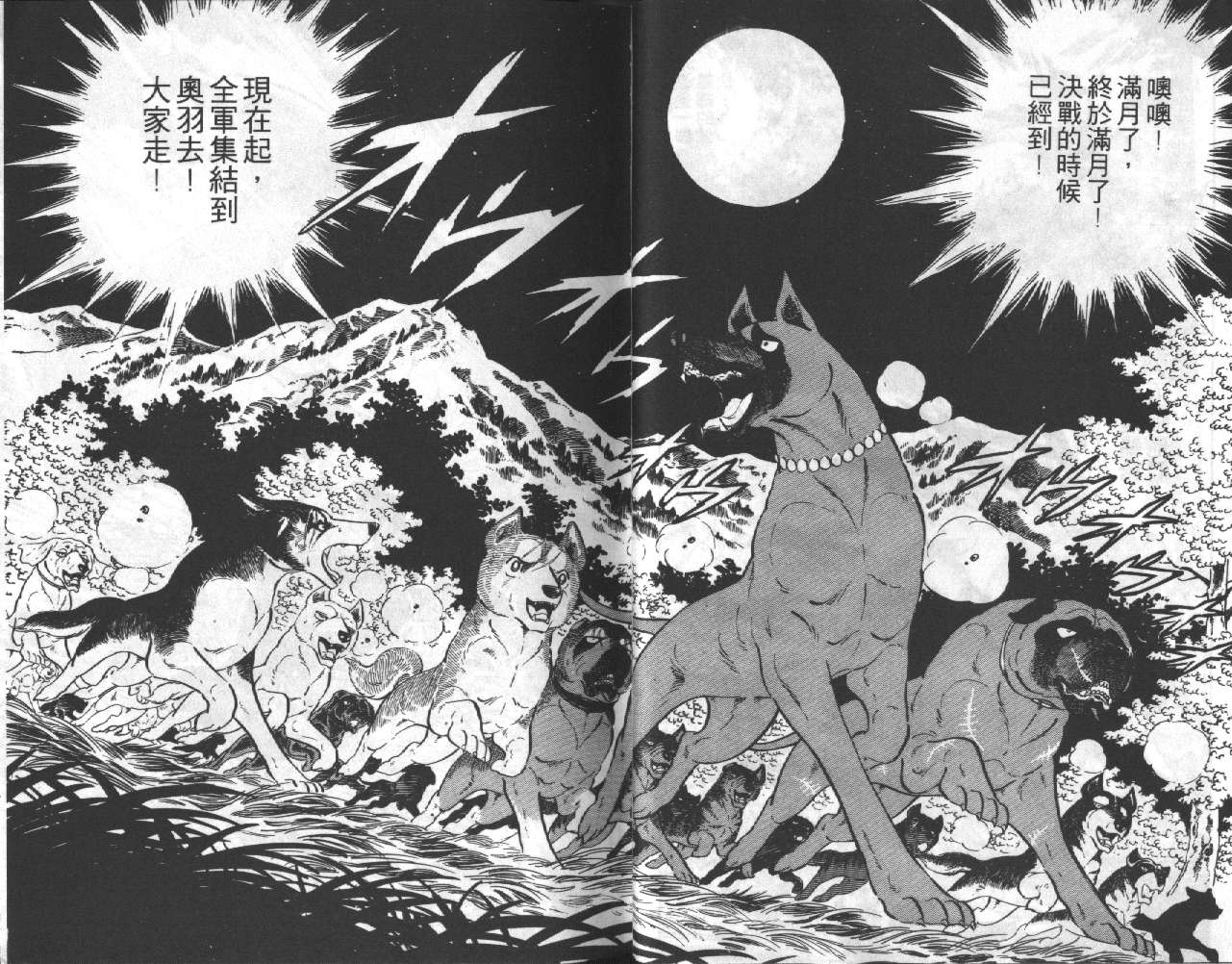 银牙虎纹猎犬物语韩漫全集-VOL11无删减无遮挡章节图片 