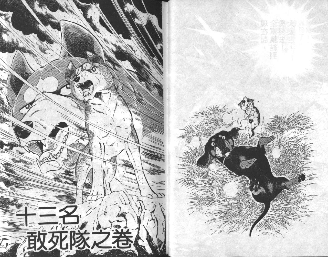银牙虎纹猎犬物语韩漫全集-VOL11无删减无遮挡章节图片 