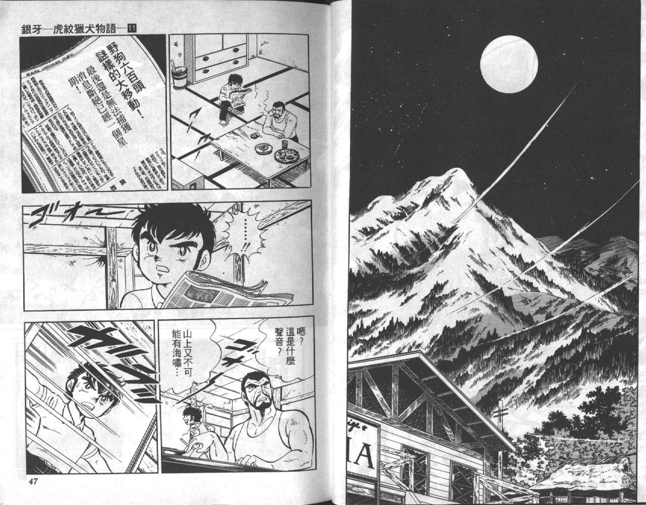 银牙虎纹猎犬物语韩漫全集-VOL11无删减无遮挡章节图片 