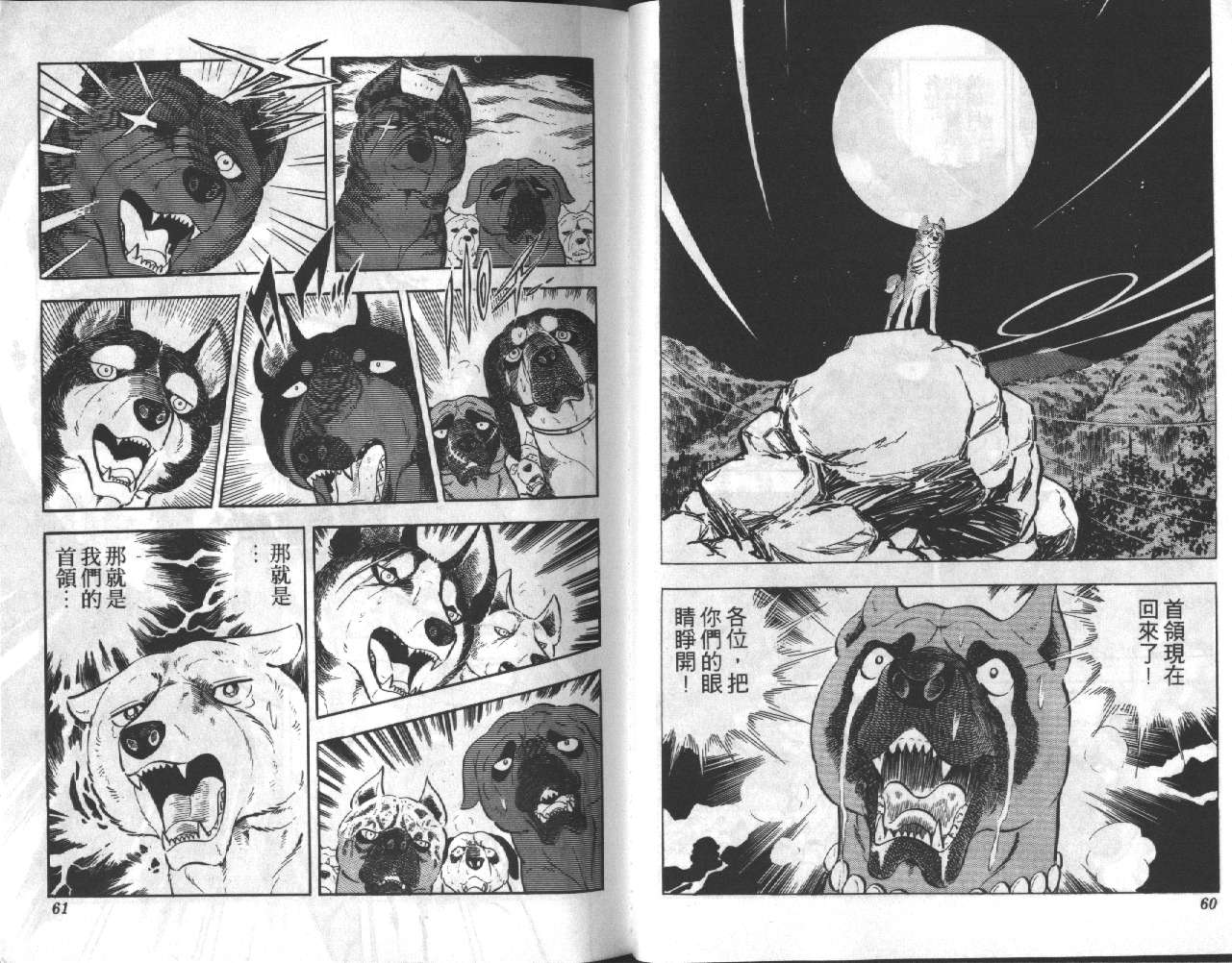 银牙虎纹猎犬物语韩漫全集-VOL11无删减无遮挡章节图片 