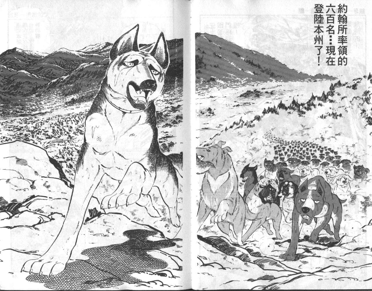 银牙虎纹猎犬物语韩漫全集-VOL11无删减无遮挡章节图片 