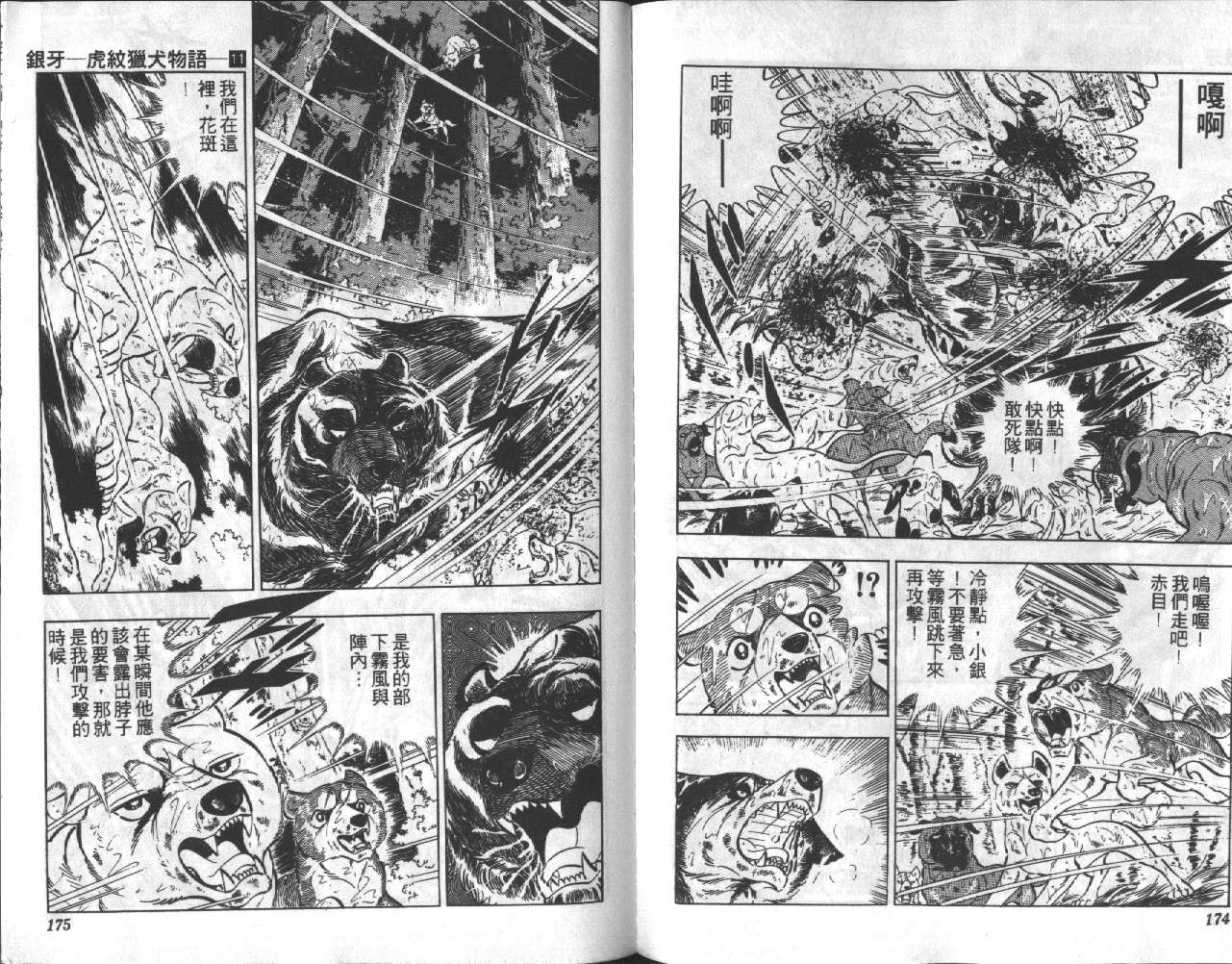 银牙虎纹猎犬物语韩漫全集-VOL11无删减无遮挡章节图片 
