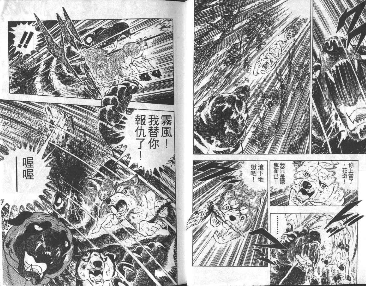 银牙虎纹猎犬物语韩漫全集-VOL12无删减无遮挡章节图片 