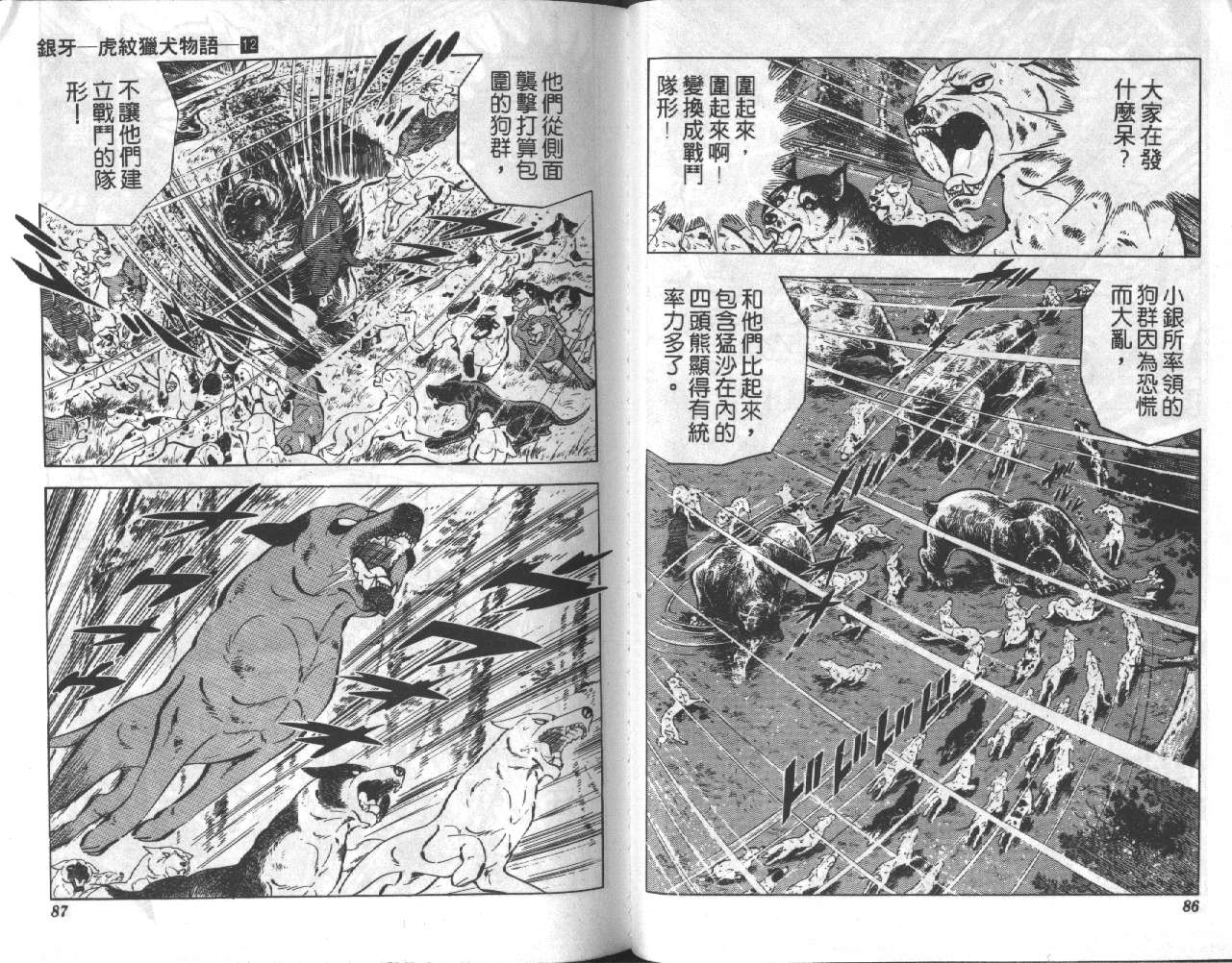 银牙虎纹猎犬物语韩漫全集-VOL12无删减无遮挡章节图片 