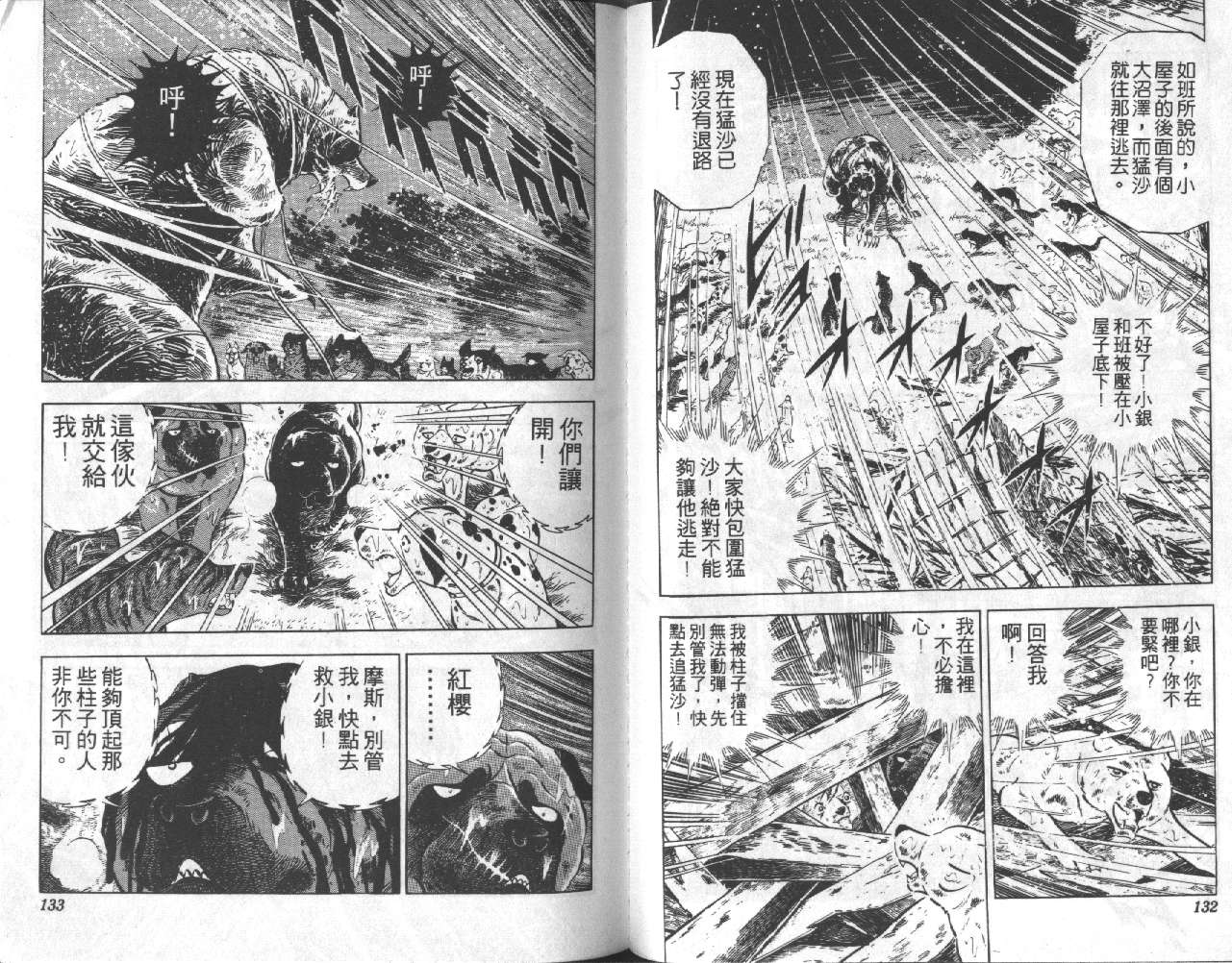 银牙虎纹猎犬物语韩漫全集-VOL12无删减无遮挡章节图片 