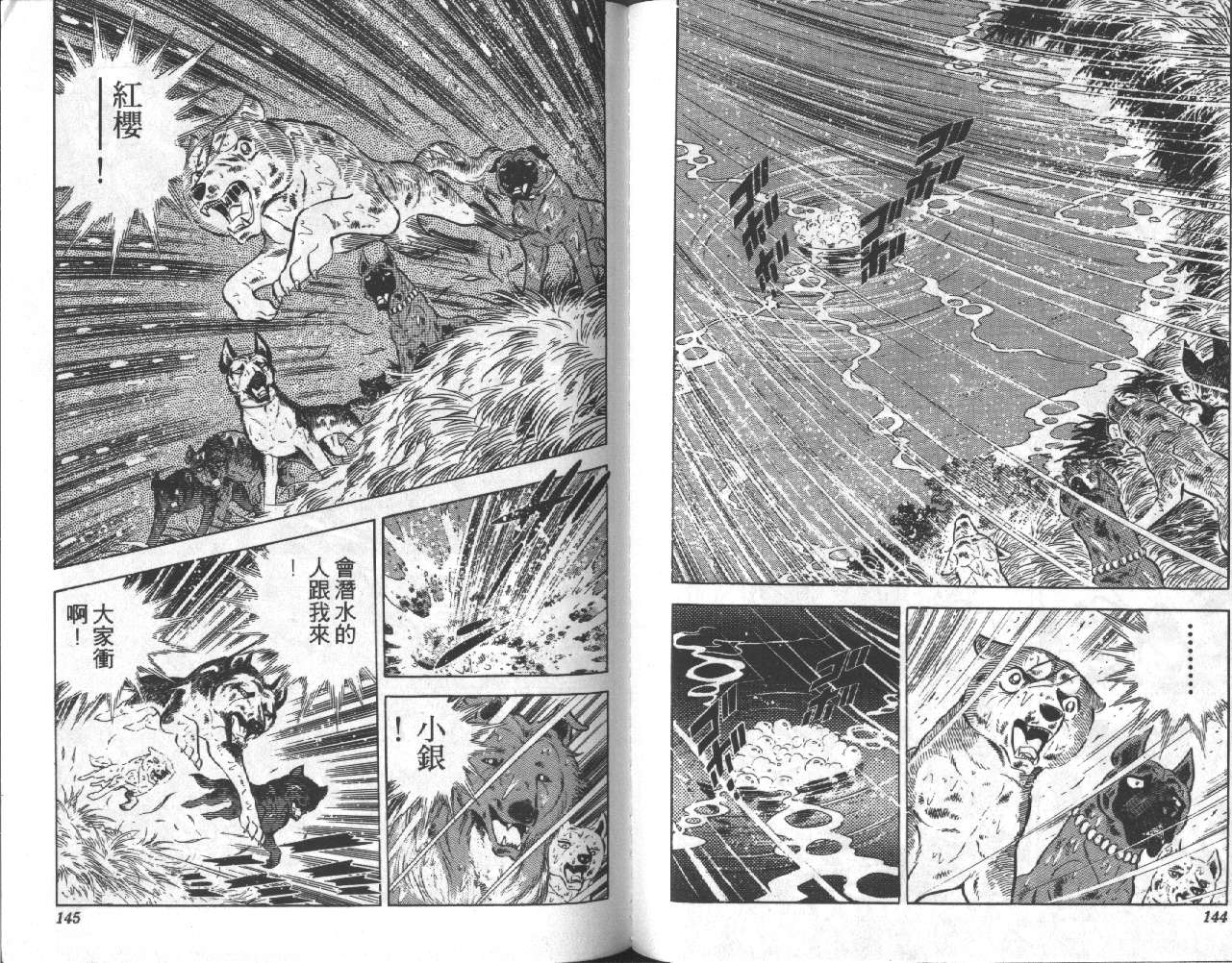 银牙虎纹猎犬物语韩漫全集-VOL12无删减无遮挡章节图片 
