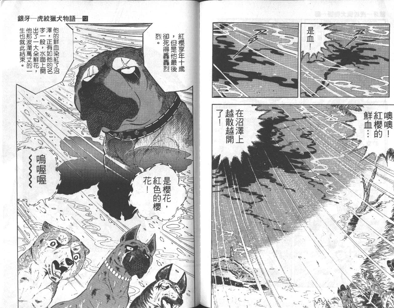 银牙虎纹猎犬物语韩漫全集-VOL12无删减无遮挡章节图片 