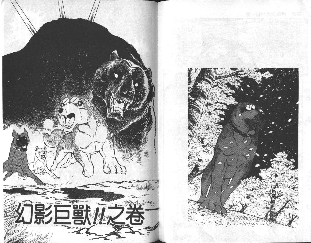 银牙虎纹猎犬物语韩漫全集-VOL12无删减无遮挡章节图片 