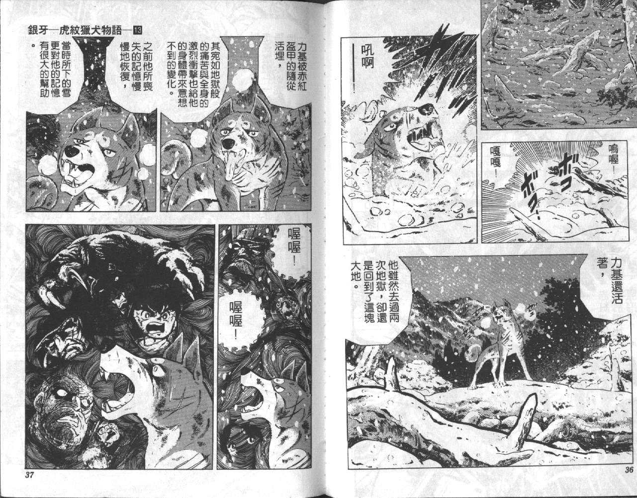 银牙虎纹猎犬物语韩漫全集-VOL13无删减无遮挡章节图片 