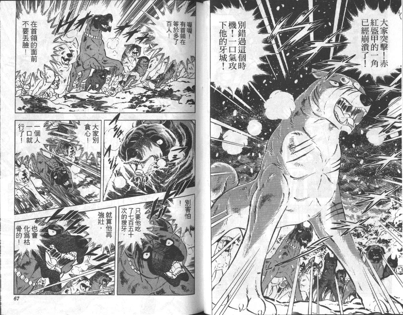 银牙虎纹猎犬物语韩漫全集-VOL13无删减无遮挡章节图片 
