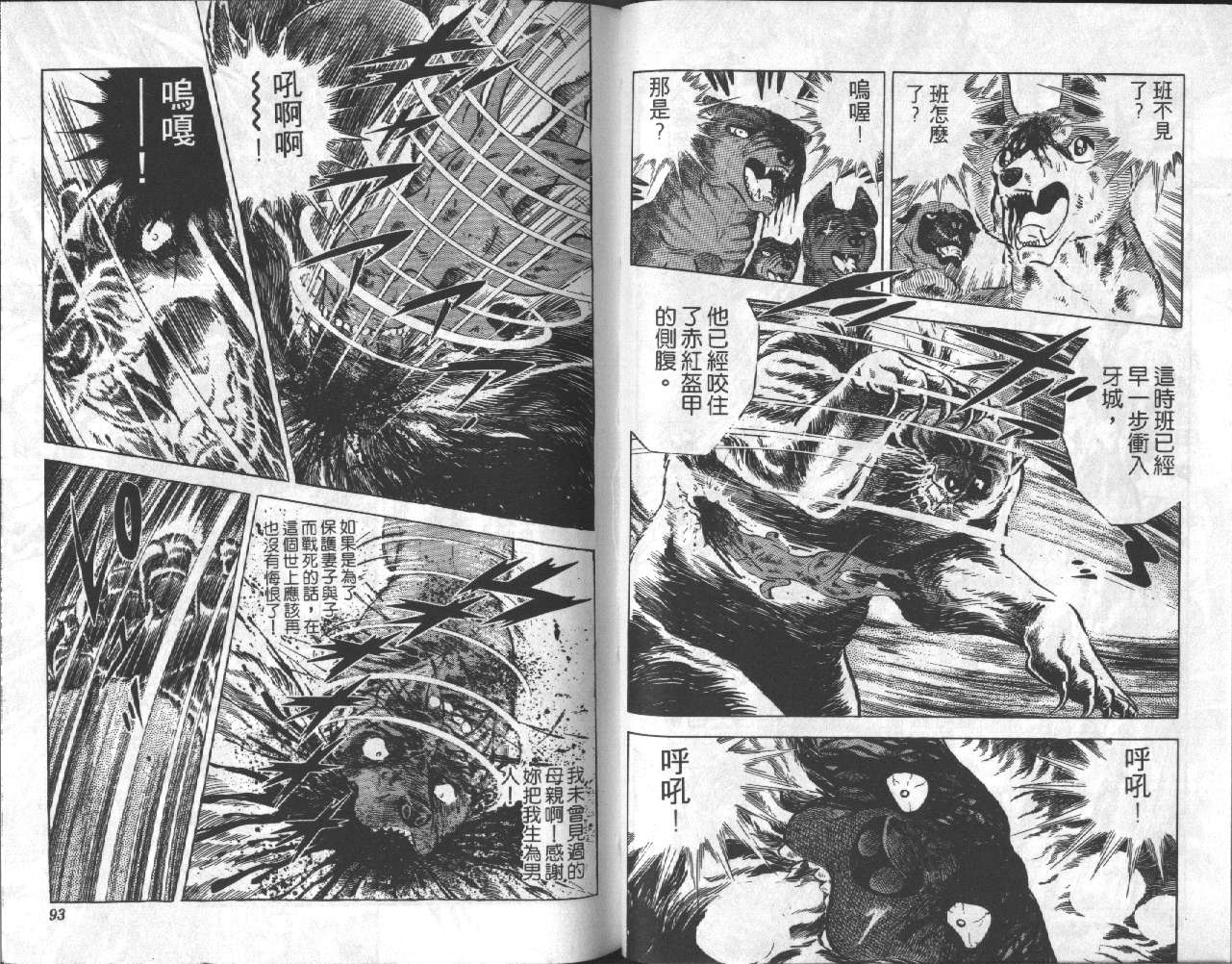 银牙虎纹猎犬物语韩漫全集-VOL13无删减无遮挡章节图片 