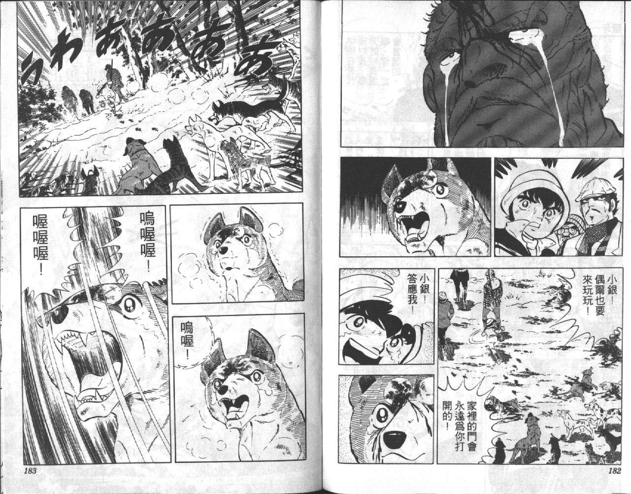 银牙虎纹猎犬物语韩漫全集-VOL13无删减无遮挡章节图片 