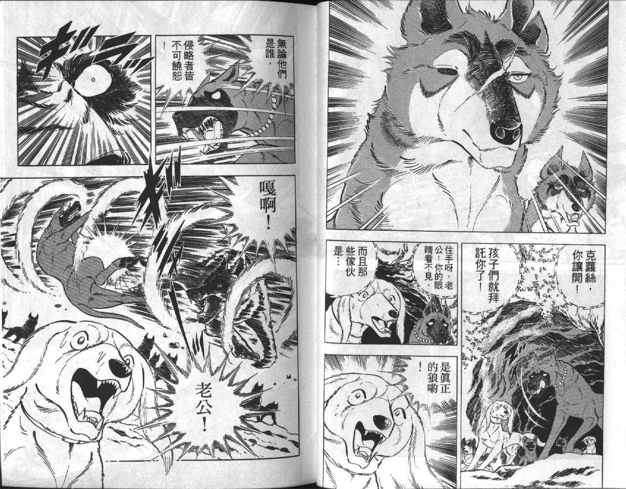 银牙虎纹猎犬物语韩漫全集-VOL14无删减无遮挡章节图片 